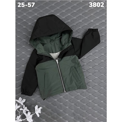 Ветровка 3802 зелёный