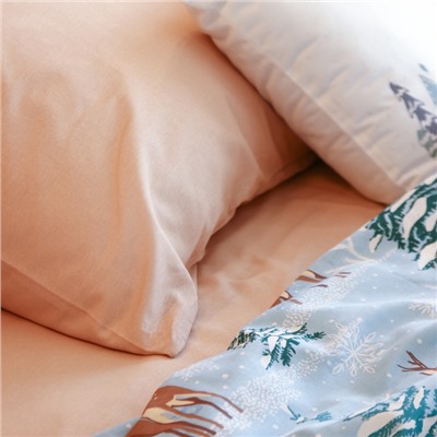 Постельное бельё дуэт «Этель. Зимнее волшебство», бязь