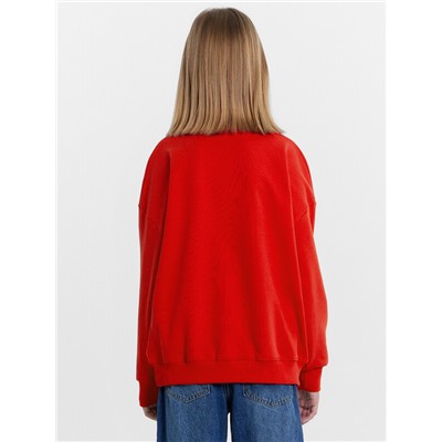 СВИТШОТ ДЛЯ ДЕВОЧЕК 127897/1