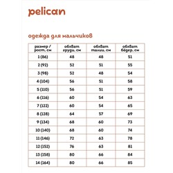 PELICAN Брюки BFPQ7039