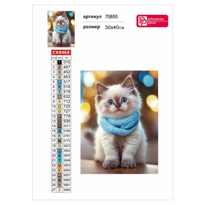 Алмазная мозаика по номерам 30х40 см (НА ПОДРАМНИКЕ) "КОТ В ШАРФЕ" квадратные стразы 70855 Феникс