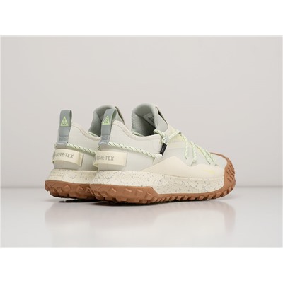 Кроссовки Nike ACG Mountain Fly Low
