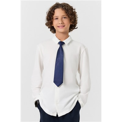 Рубашка для мальчиков MARK FORMELLE, 1232182