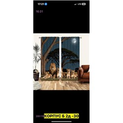 Фотошторы 3д 2051789-13