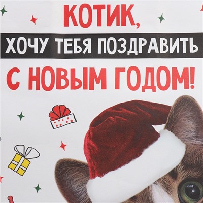 Пакет подарочный новогодний крафтовый «Котик», 22×22×11 см