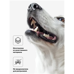 Игрушка для собак «Гантель 500 kg», 17.5 см, пищащая, винил, голубая