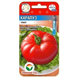 Томат Карапуз (Сиб Сад)