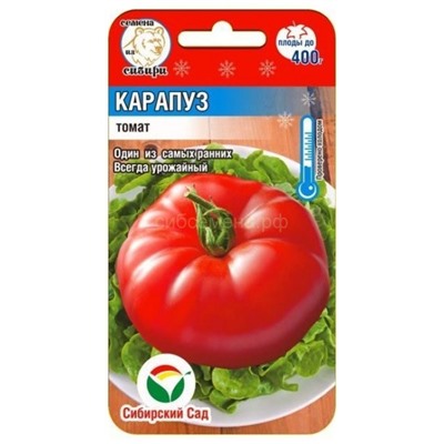 Томат Карапуз (Сиб Сад)