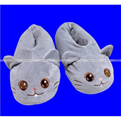 2 пары ПОДАРОЧНЫЙ НАБОР Носки-тапочки женские мягкие Прикольные