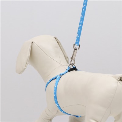 Шлейка с поводком «Классика», ОГ 21-35 см, поводок 120×1 см, капрон, голубая