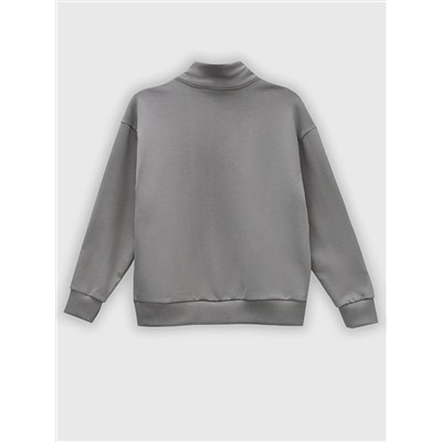 MARK FORMELLE Толстовка 123458