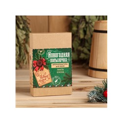 Новогодний набор ароматизаторов «Новогодняя посылочка», сосна, пихта, 2 шт. по 100 мл