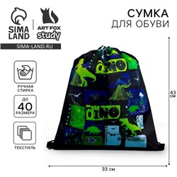 Мешок для обуви «Динотайм» (болоньевый материал) 43×33 см
