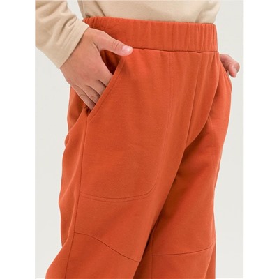 PELICAN Брюки BFPQ5296U