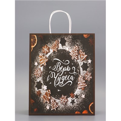 Пакет бумажный подарочный новогодний крафт «Верь в чудеса» 32×26×11 см
