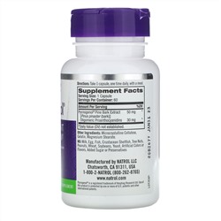 Natrol, Pycnogenol, 50 мг, 60 капсул