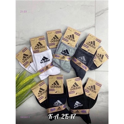 Носки мужские 10 пар 1903301-1
