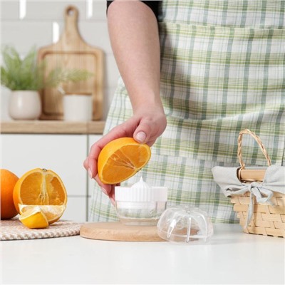 Соковыжималка для цитрусовых с лотком и крышкой Доляна, d=7.5 см, 7×8 см, МИКС