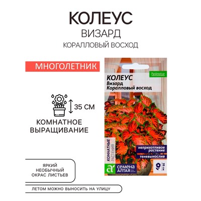 Семена комнатных цветов Колеус "Коралловый Восход", ц/п,  5 шт