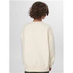 СВИТШОТ ДЛЯ МАЛЬЧИКОВ 123487