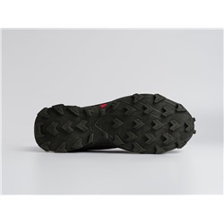 Кроссовки Salomon Alphacross 5 GTX
