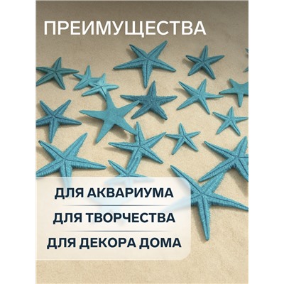 Набор натуральных морских звезд, 1.5 - 2.5 см, 20 шт., синий