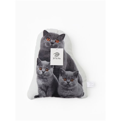 Подушка «Этель» Cat family, 40×33 см, велюр