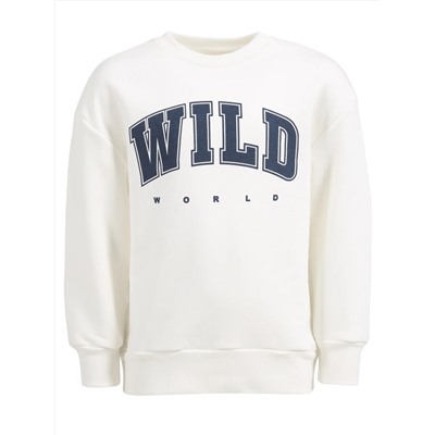 Апрель Свитшот 1ПДСД3977335