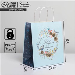 Пакет подарочный новогодний крафтовый «Морозное утро», 22×25×12 см