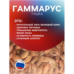 Корм для рыб и черепах «Пижон» гаммарус тушка, ведро, 3.3 л