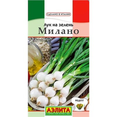 Лук на зелень Милано Италия Аэлита