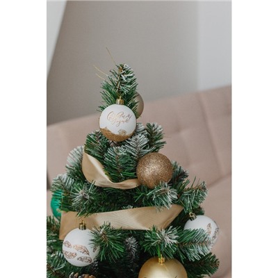 Шары ёлочные «С Новым годом!», пластик, d=6, 6 шт., белые, золотые