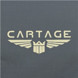 Термосумка Cartage Т-15, серая, 10 л, 26×19×19 см