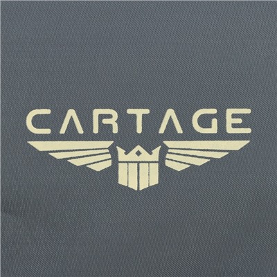 Термосумка Cartage Т-15, серая, 10 л, 26×19×19 см