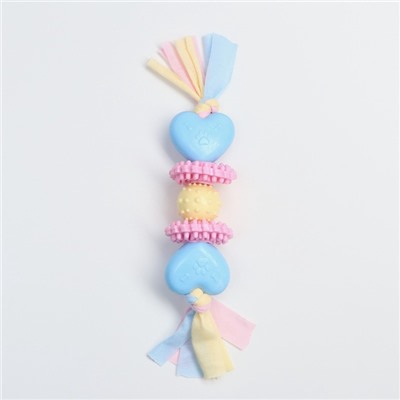 Игрушка жевательная Пижон Premium на верёвке, 5 элементов, термопластичная резина, МИКС