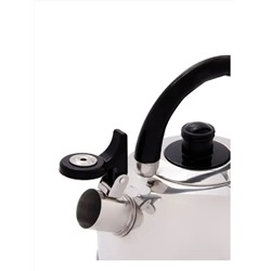 Merali Чайник ЧН20-02