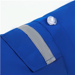 Комбинезон для собак, демисезонный с подкладом, размер S (ДС 25, Ог 37 см), синий