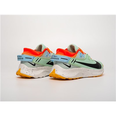 Кроссовки Nike Pegasus Trail 2
