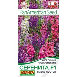 Ангелония Серенита F1 (Код: 93080)