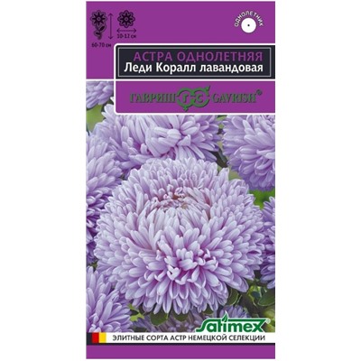 Астра Леди Коралл Лавандовая Гавриш