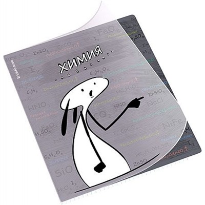 Тетрадь 48л с пластиковой обложкой "Чубрик" по химии 59473 ErichKrause