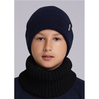 CLEVER Шапка