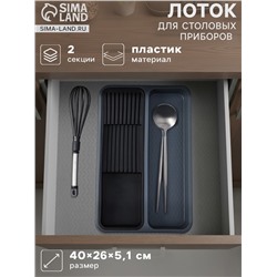Лоток для столовых приборов и ножей FOLYlife, 40×26×5.1 см, 2 отделения, пластик, серый, чёрный