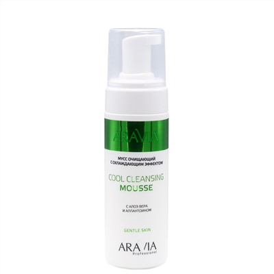 ARAVIA Professional Мусс очищающий с охлаждающим эффектом с алоэ вера и аллантоином Cool Cleansing Mousse, 160 мл/8