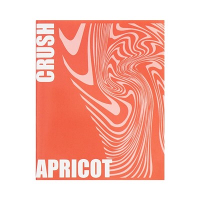 Набор тетрадей 96 листов в клетку Calligrata Apricot Crush, обложка мелованный картон, глянцевая ламинация, блок офсет, 4 шт.