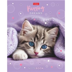 Тетрадь  48л клетка пластиковая обложка 300мкм "Нежные мечты" (092369) Хатбер