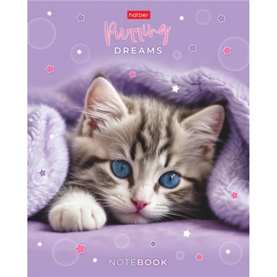 Тетрадь  48л клетка пластиковая обложка 300мкм "Нежные мечты" (092369) Хатбер