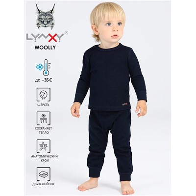 Lynxy Комплект 2ЮНК371065