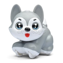 Собака "Красивая хаски" в коробке