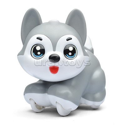 Собака "Красивая хаски" в коробке